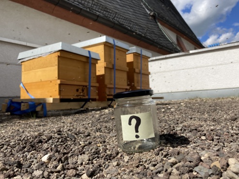 Wettbewerb
© gpe Wettbewerb
© gpe