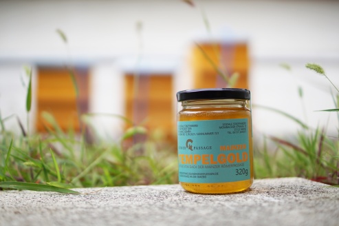 Gewinner des Namenswettbewerbs: Tempelgold
© gpe Gewinner des Namenswettbewerbs: Tempelgold
© gpe